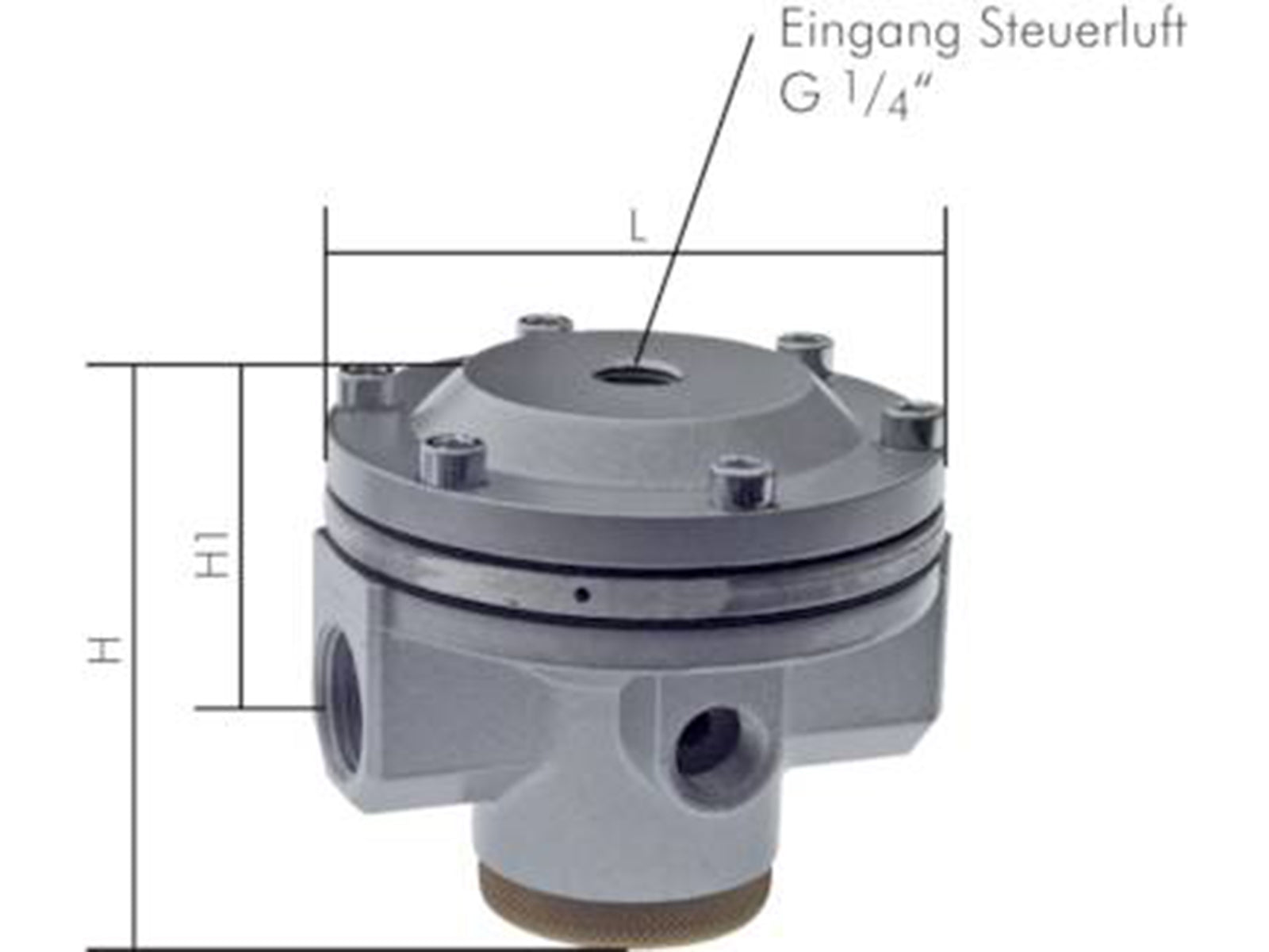 LandEfeld Standard Pressure Regulator - ppdistributors